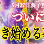 【ついに😳❗️】あなたに動き始める事✨5月27日双子座新月🌑✨鳥肌タロット占い🔮⚡️