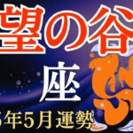 【魚座】2025年5月のうお座の運勢～挫折感を味わい続ける絶望の谷底～タロット占い＆占星術