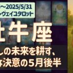 ♉️牡牛座｜2025年5月後半♉️🌟わたしの未来を耕す！静かな決意の５月後半🌟12星座タロットリーディング
