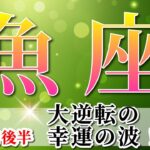 魚座 【 うお座 ♓ 】(2025年5月後半)急加速！運命が動き出す🌟視野を広げて幸運を引き寄せる。✨🔑 魚座 2025 タロット占い