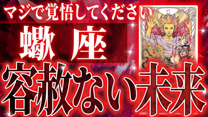 神チャンス到来✨蠍座が選ぶ“ひとつの決断”が未来を大きく変えます【鳥肌級タロットリーディング】