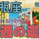♒️【水瓶座さん特化型】今週の運勢✨2025＊5/19〜25✨どこからオファーがやって来るのでしょう💕reading＆talk