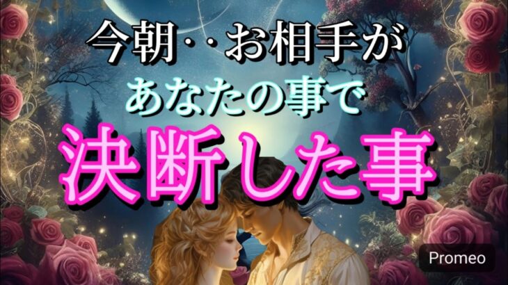 【ごめん…😭】今朝お相手が決断した事💓恋愛タロット占い