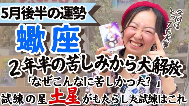 必見！試練修了！【蠍座5月後半の運勢】とんでもない大解放を感じる！！