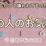 【恋愛、人間関係】もしかして、私は嫌われてる？あの人（異性）のお気持ちと今後など🐦