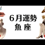 ６月、魚座が奇跡の大どんでん返しを起こす回。逆転勝利しかありえないから何も心配ない2025年6月全体運勢♓️仕事恋愛不安解消評価や印象【個人鑑定級タロットヒーリング】