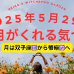 “心の満たし方”｜蟹座の月×土星・海王星スクエア｜5/29　タロット＆星読み　#占い #星読み 　　＃蟹座