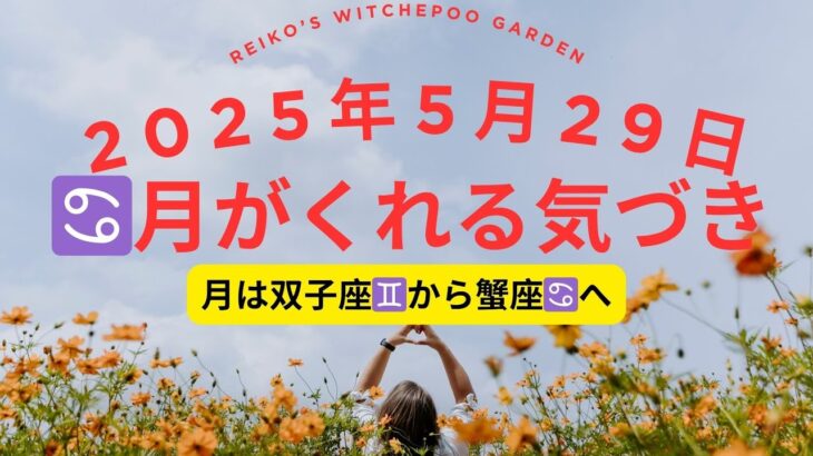 “心の満たし方”｜蟹座の月×土星・海王星スクエア｜5/29　タロット＆星読み　#占い #星読み 　　＃蟹座