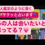🧚サクッと占います🔹あの人は会いたいと思ってる？💗