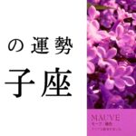 【双子座🌷6月の運勢】✨超レアな最強運気到来✨今ふたご座に追い風がグングンきてます✨2025年タロット占い