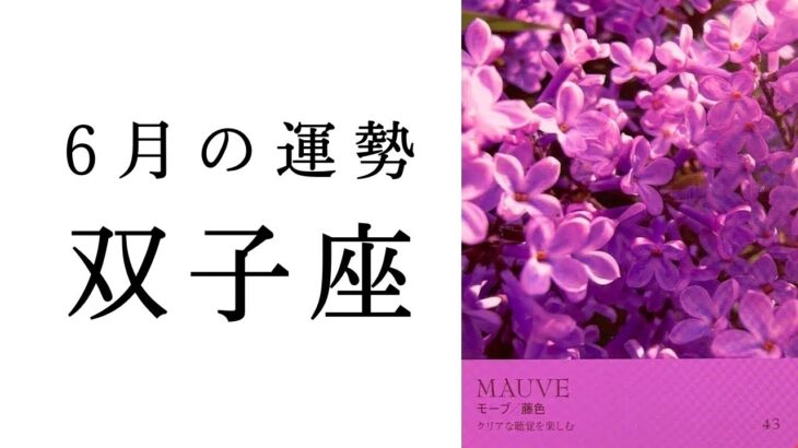 【双子座🌷6月の運勢】✨超レアな最強運気到来✨今ふたご座に追い風がグングンきてます✨2025年タロット占い