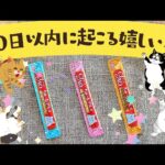 🐈10日以内に起こる嬉しいこと(=^・^=)🐈［タロット・オラクルカードリーディング・占い］