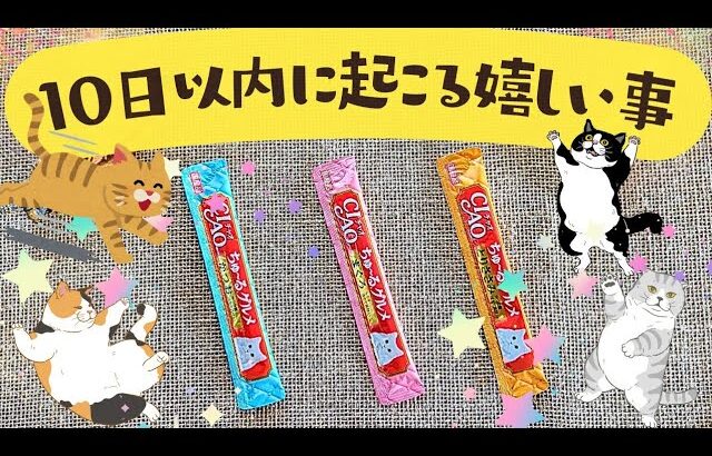 🐈10日以内に起こる嬉しいこと(=^・^=)🐈［タロット・オラクルカードリーディング・占い］