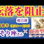 【蠍座の総合運】2025年5月16日から6月15日までのさそり座の総合運。#蠍座 #さそり座
