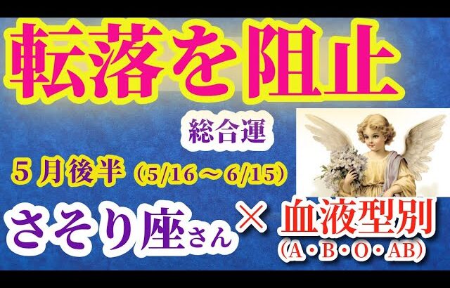 【蠍座の総合運】2025年5月16日から6月15日までのさそり座の総合運。#蠍座 #さそり座