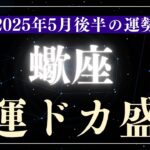 【蠍座】2025年5月後半さそり座の運勢「幸運ドカ盛り」