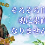 自分の魂の声を聞く 　#インド占星術  #占い  #ヒーリング  #スピリチュアル