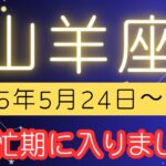 山羊座♑️今週の占い⭐️ゆーの小話付き