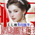 【15分でわかる！しし座6月後半】今こそ本領発揮！どんな道も正解に変える、獅子座の底力【癒しの眠れる占い】