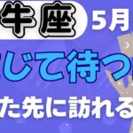【牡牛座】♉️ 5月後半の運勢🌱 運命の流れが動き出す✨ 喜びの再会とチャンス到来🌈 今こそ信じて待つ時🌟 #おうし座 #タロット #タロットリーディング