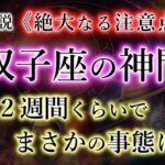 ふたご座の皆様。まさかの事態に…。自分だけに使うべきです！絶大な注意点。【双子座2025年の財命期】を解説。