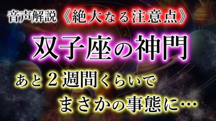 ふたご座の皆様。まさかの事態に…。自分だけに使うべきです！絶大な注意点。【双子座2025年の財命期】を解説。