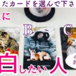 【イニシャル】あなたに告白したい人🩷タロット、タロット占い、恋愛