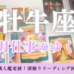【牡牛座】5月の仕事のゆくえを個人鑑定級に深掘り🔮牡牛座さんに待ち受ける5月の流れとは？