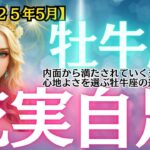 【牡牛座】2025年5月、内面から満たされていく充足感。心地よさを選ぶおうし座の運勢ガイド🌿