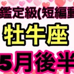 牡牛座出たよ〜‼️大大大大吉運願望成就間違いなし❣️超細密✨怖いほど当たるかも知れない😇#星座別#タロットリーディング#牡牛座