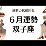 双子座は絶対観てほしいわ…すべてはこの時のためだったんだよ。大感動の2025年6月全体運勢♊️仕事恋愛不安解消・評価や印象【個人鑑定級タロットヒーリング】