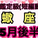 蠍座でたーー！大大大大大吉運‼️願いは現実となるよ❣️超細密✨怖いほど当たるかも知れない😇#星座別#タロットリーディング#射手座