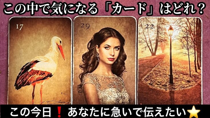 【まさに今❗️約束されている⚡️とんでもない✨近未来】ものすごい展開【ルノルマンカードリーディング占い】恐ろしいほど当たる😱