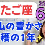 【ふたご座】大転換期のラストスパート✨自分を信じる力が分岐点✨豊かさをどんどん収穫して／占星術でみる6月の運勢と意識してほしいこと