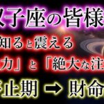 ふたご座の皆様《現金と時間》大量に流れ込む。但し「絶大な注意点」あり。双子座【停止期】→【財命期】を解説。