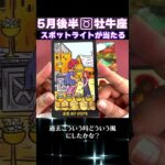 【タロット】牡牛座のあなたへ♉5月前半の幸運アドバイス　 #占い #オラクルカード #カードリーディング