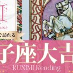 双子座♊重荷から解放されるお知らせが届く大吉報🏇もうすぐ起こる大吉報🏇どんな？🏇いつ頃？🌝月星座ふたご座さんも🌟タロットルノルマンオラクルカード