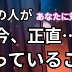 ガチ🔥あの人があなたに対して正直おもっていること。個人鑑定級に当たる！恋愛タロット占い ルノルマン オラクルカード細密リーディング