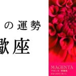 【蠍座🌷6月の運勢】✨永久保存版の神展開✨全さそり座に届けたい魂からの叫び！！2025年タロット占い