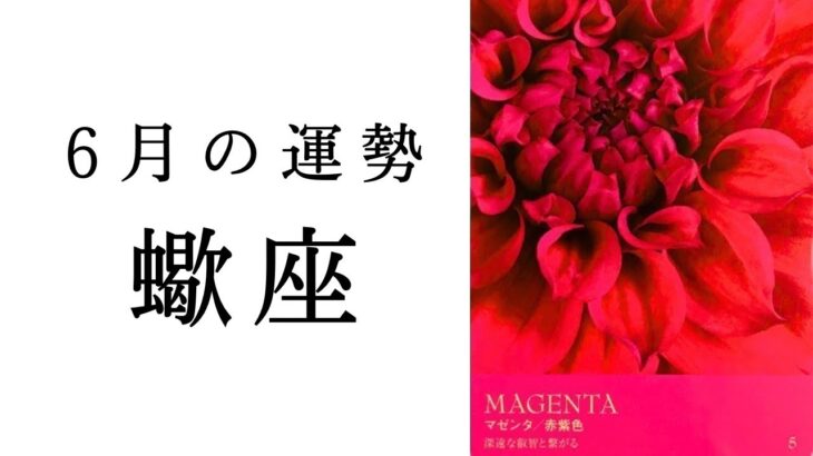 【蠍座🌷6月の運勢】✨永久保存版の神展開✨全さそり座に届けたい魂からの叫び！！2025年タロット占い