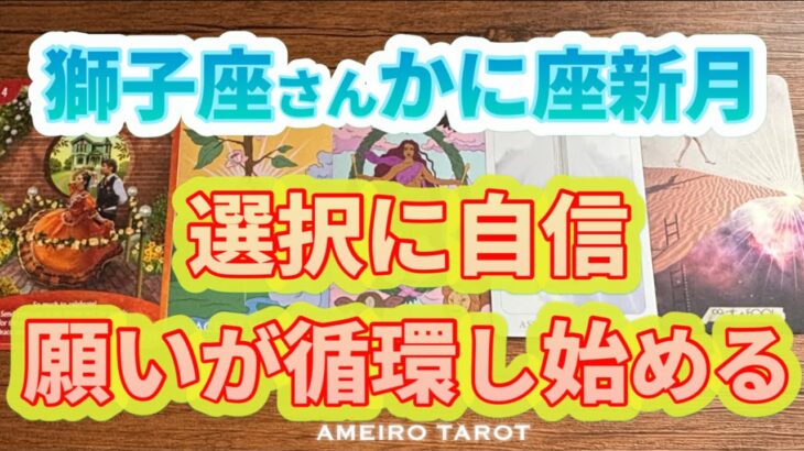 獅子座♌️選択に自信がつく‼️願いが循環し始める🕊️✨最後はあなた自身で解放へ💖🌈
