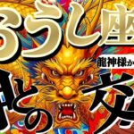 【牡牛座♉️6月中旬】🐉アナタは求道者！！新たなる道や理想を追い求める限り、神との交信は途絶えない！！　✡️キャラ別鑑定付き✡️【龍神様からの超重要お告げ】