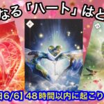 【⚪︎番さん❗️ヤバい✨お見逃しなく】この今日❗️あなたに急いで伝えたい✨【ルノルマンカードリーディング占い】恐ろしいほど当たる😱