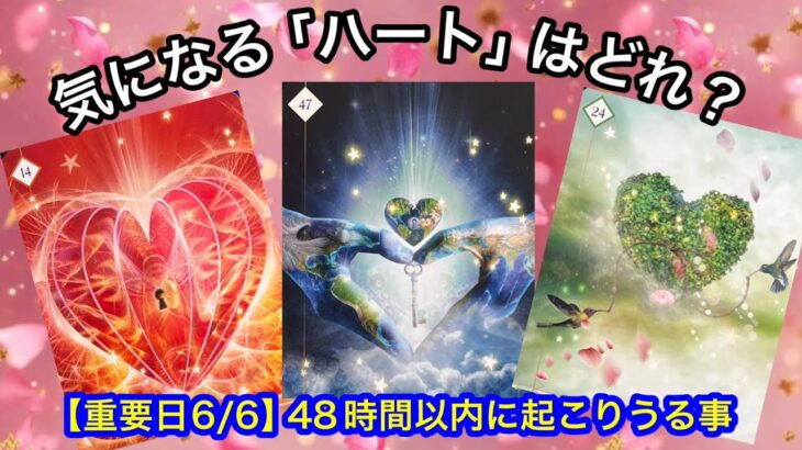 【⚪︎番さん❗️ヤバい✨お見逃しなく】この今日❗️あなたに急いで伝えたい✨【ルノルマンカードリーディング占い】恐ろしいほど当たる😱