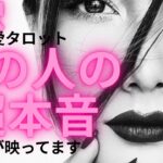 （神回！オーブ出現★恋愛💛霊視タロット8択）あの人の超本音★一部辛口、複雑恋愛あり★お相手の言っていない心の声もわかります★これで安心、上の方からの適切なアドバイスももらいました