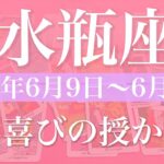 【みずがめ座】1週間の運勢（2025年6月9日〜6月15日）♒️受け取る！変化と受容の1週間、土台が固まる