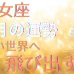 2025年乙女座♍️6月の運勢🌈🌈🌈全体運・仕事運・恋愛運❤️❤️ 広い世界へ飛び出す月🦋🦋🦋