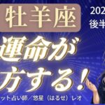 【牡羊座】2025年6月後半おひつじ座の運勢「運命が味方する！」