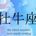 【牡牛座】6月後半♉️ごめんなさい大号泣しちゃいました、「楽しんで」ね！