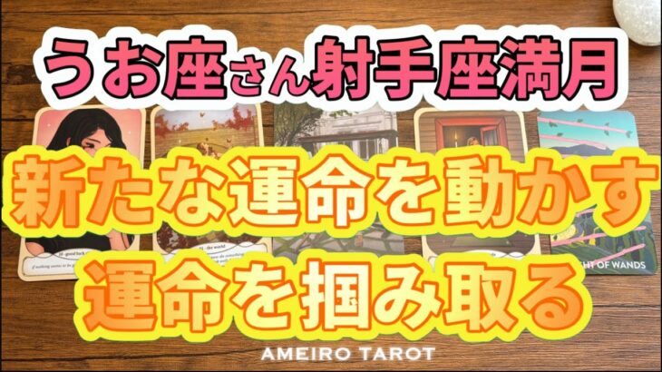 うお座♓️新たな運命を動かす、運命を掴み取る🕊️✨【射手座満月からの流れ】